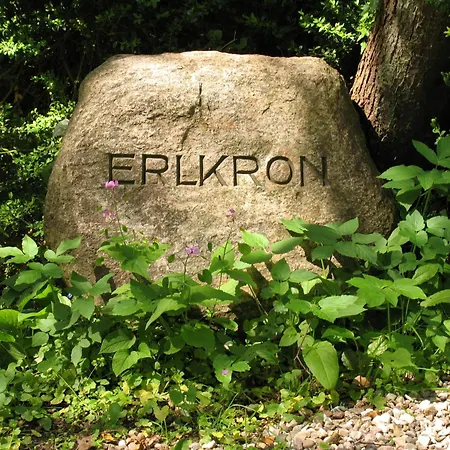 Erlkron Sandwig